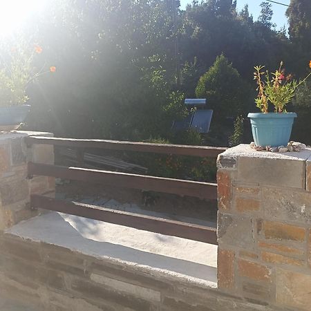 Apartments Spiros Pelion Kalamaki  Quarto foto