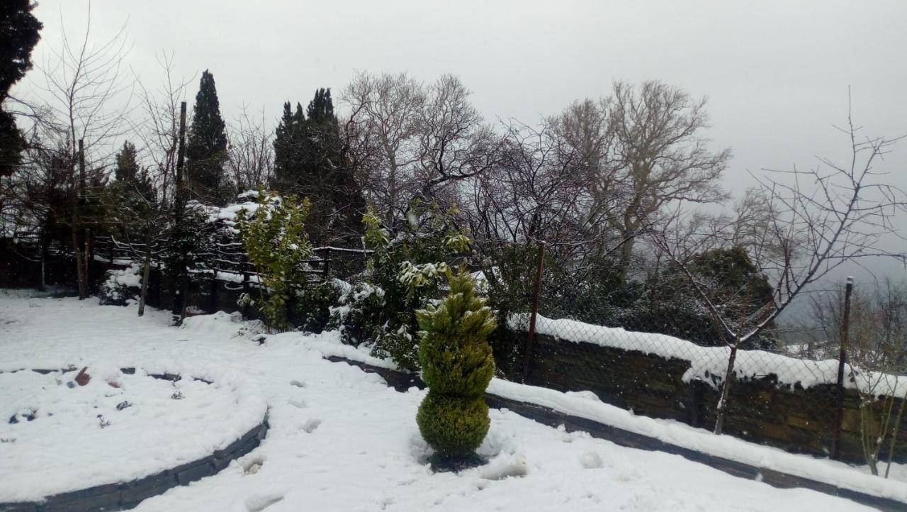 Apartments Spiros Pelion Kalamaki  Exterior foto